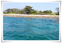 เกาะจระเข้